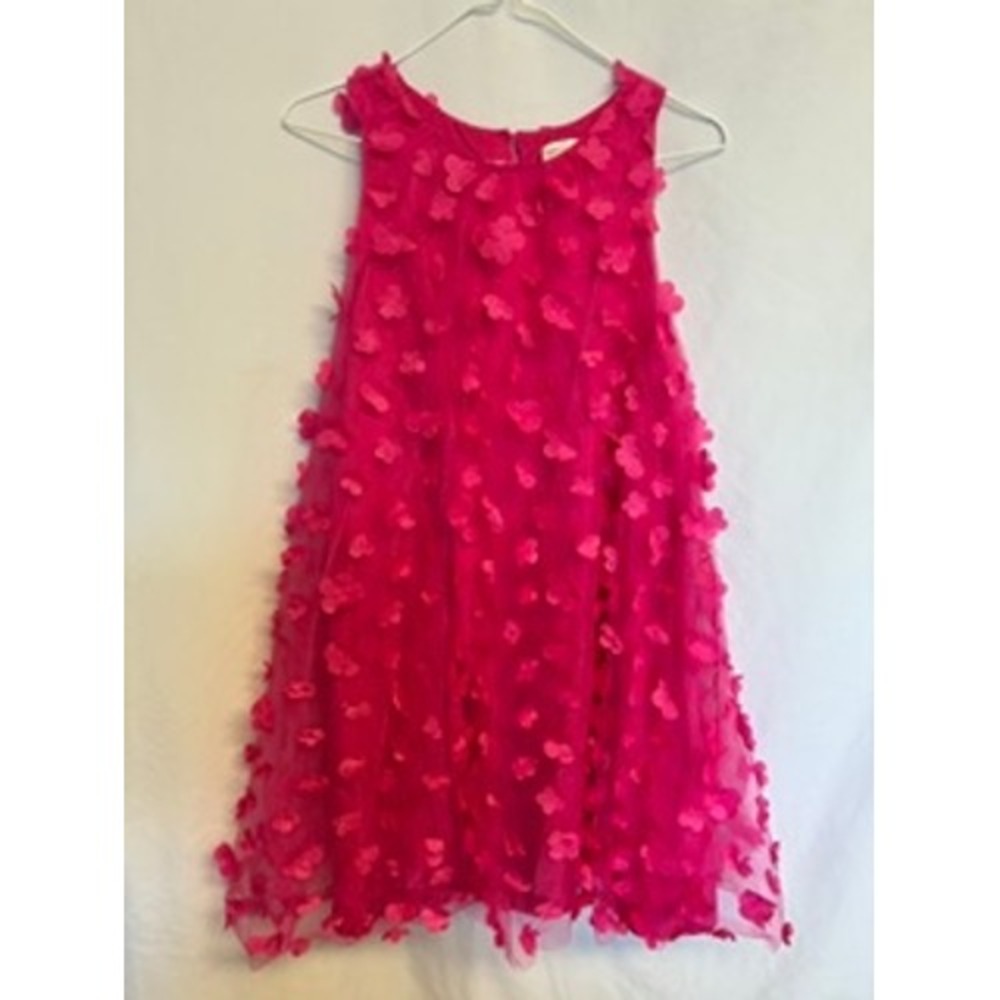 Kensie Girl Kids Fuchsia Pink 3D Floral Applique Mesh Party Dance Dress Size 16